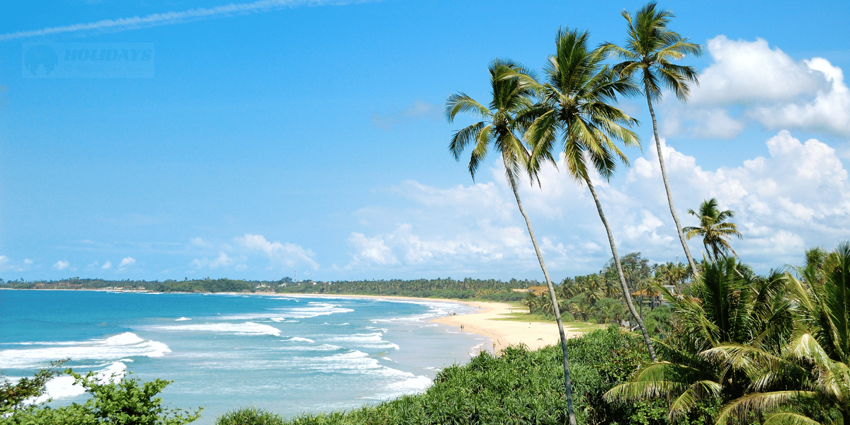 Bentota City Image